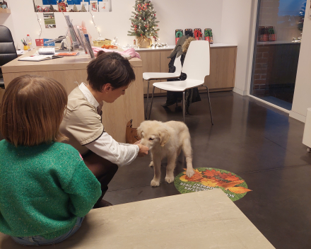 Puppy