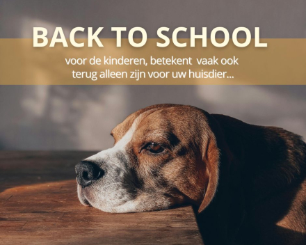 terug naar school