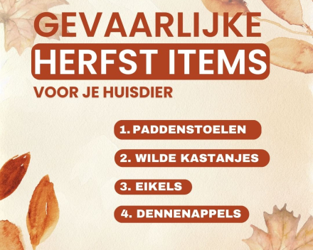 Herfst items