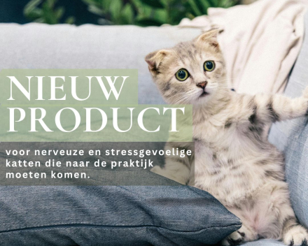 Heeft uw kat stress om naar de praktijk te komen? 