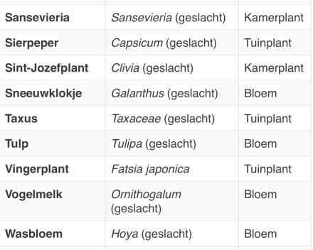 Giftige planten katten