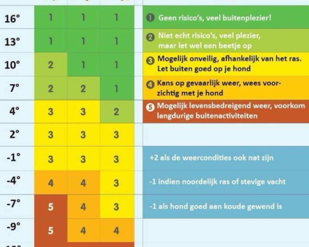 Hoe koud is te koud voor uw hond?