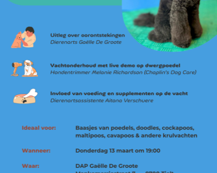 demo vacht - en oorverzorging bij poedelachtigen