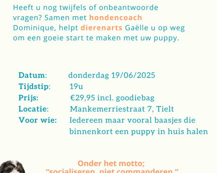 opvoeden puppy