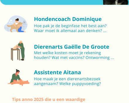 Infoavond: puppy opvoeding