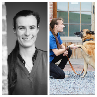Gedragsbegeleiding en puppyles