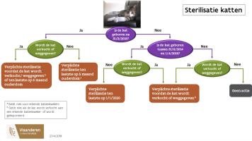 Sterilisatie en castratie kat