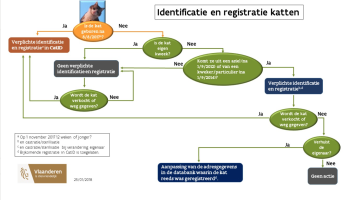 Identificatie en registratieplicht bij katten