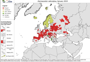 Verspreiding van Dermacentor reticulatis in Europa